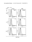 Nucleic acid encoding apoptotic anti-ige antibodies diagram and image