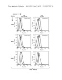 Nucleic acid encoding apoptotic anti-ige antibodies diagram and image