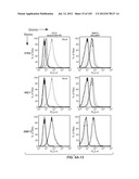 Nucleic acid encoding apoptotic anti-ige antibodies diagram and image