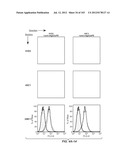 Nucleic acid encoding apoptotic anti-ige antibodies diagram and image