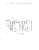 Nucleic acid encoding apoptotic anti-ige antibodies diagram and image