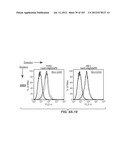 Nucleic acid encoding apoptotic anti-ige antibodies diagram and image