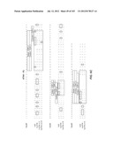 Nucleic acid encoding apoptotic anti-ige antibodies diagram and image