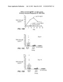 Nucleic acid encoding apoptotic anti-ige antibodies diagram and image