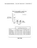 Nucleic acid encoding apoptotic anti-ige antibodies diagram and image