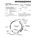 ENHANCEMENT OF BIOMASS PRODUCTION BY DISRUPTION OF LIGHT ENERGY     DISSIPATION PATHWAYS diagram and image