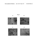 POLYMER MATRICES FOR CELL CULTURE diagram and image