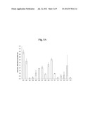 POLYMER MATRICES FOR CELL CULTURE diagram and image