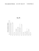 POLYMER MATRICES FOR CELL CULTURE diagram and image