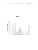 POLYMER MATRICES FOR CELL CULTURE diagram and image