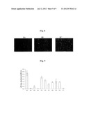 POLYMER MATRICES FOR CELL CULTURE diagram and image