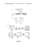 METHOD FOR REGULATING PROTEIN FUNCTION IN CELLS USING SYNTHETIC SMALL     MOLECULES diagram and image