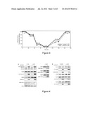 METHOD FOR REGULATING PROTEIN FUNCTION IN CELLS USING SYNTHETIC SMALL     MOLECULES diagram and image