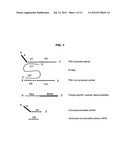 METHODS AND COMPOSITIONS FOR NUCLEIC ACID AMPLIFICATION diagram and image