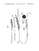 METHODS AND COMPOSITIONS FOR NUCLEIC ACID AMPLIFICATION diagram and image