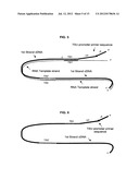 METHODS AND COMPOSITIONS FOR NUCLEIC ACID AMPLIFICATION diagram and image