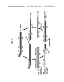 METHODS AND COMPOSITIONS FOR NUCLEIC ACID AMPLIFICATION diagram and image