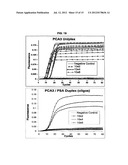 METHODS AND COMPOSITIONS FOR NUCLEIC ACID AMPLIFICATION diagram and image