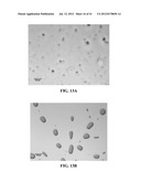 PHOTOCHEMICAL METHODS AND PHOTOACTIVE COMPOUNDS FOR MODIFYING SURFACES diagram and image