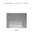 PHOTOCHEMICAL METHODS AND PHOTOACTIVE COMPOUNDS FOR MODIFYING SURFACES diagram and image