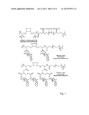 CYCLODEXTRIN-BASED POLYMERS FOR THERAPEUTICS DELIVERY diagram and image