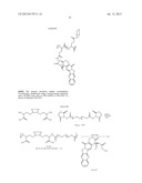 CYCLODEXTRIN-BASED POLYMERS FOR THERAPEUTICS DELIVERY diagram and image