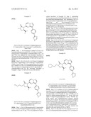 SUBSTITUTED PYRAZOLO[1,5-a]PYRIMIDINE COMPOUNDS AS mTOR INHIBITORS diagram and image