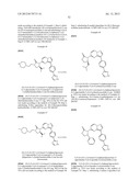 SUBSTITUTED PYRAZOLO[1,5-a]PYRIMIDINE COMPOUNDS AS mTOR INHIBITORS diagram and image