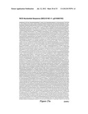 MODULATION OF HUMAN CYTOMEGALOVIRUS REPLICATION BY MICRO-RNA 132 (miR132),     MICRO-RNA 145 (miR145) AND MICRO-RNA 212 (miR212) diagram and image