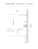 POLYMERS BEARING PENDANT PENTAFLUOROPHENYL ESTER GROUPS, AND METHODS OF     SYNTHESIS AND FUNCTIONALIZATION THEREOF diagram and image