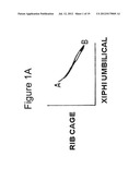 NON-INVASIVE METHOD FOR MEASURING CHANGES IN BODY POSITION AND RESPIRATION diagram and image