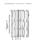 NON-INVASIVE METHOD FOR MEASURING CHANGES IN BODY POSITION AND RESPIRATION diagram and image