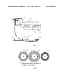 DISTRIBUTED FIBRE OPTIC DIAGNOSIS OF RISER INTEGRITY diagram and image