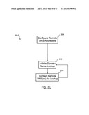DOMAIN NAME SERVICE RESOLVER diagram and image