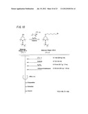 LIGHT-ABSORBING MATERIAL AND PHOTOELECTRIC CONVERSION ELEMENT diagram and image