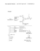 LIGHT-ABSORBING MATERIAL AND PHOTOELECTRIC CONVERSION ELEMENT diagram and image