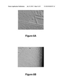 HIGH VOLTAGE SWITCHING DEVICES AND PROCESS FOR FORMING SAME diagram and image