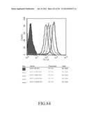 SPECIFIC BINDING PROTEINS AND USES THEREOF diagram and image