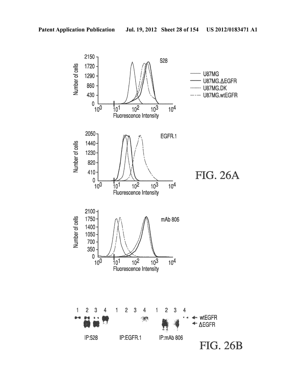 SPECIFIC BINDING PROTEINS AND USES THEREOF - diagram, schematic, and image 29