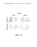 SPECIFIC BINDING PROTEINS AND USES THEREOF diagram and image
