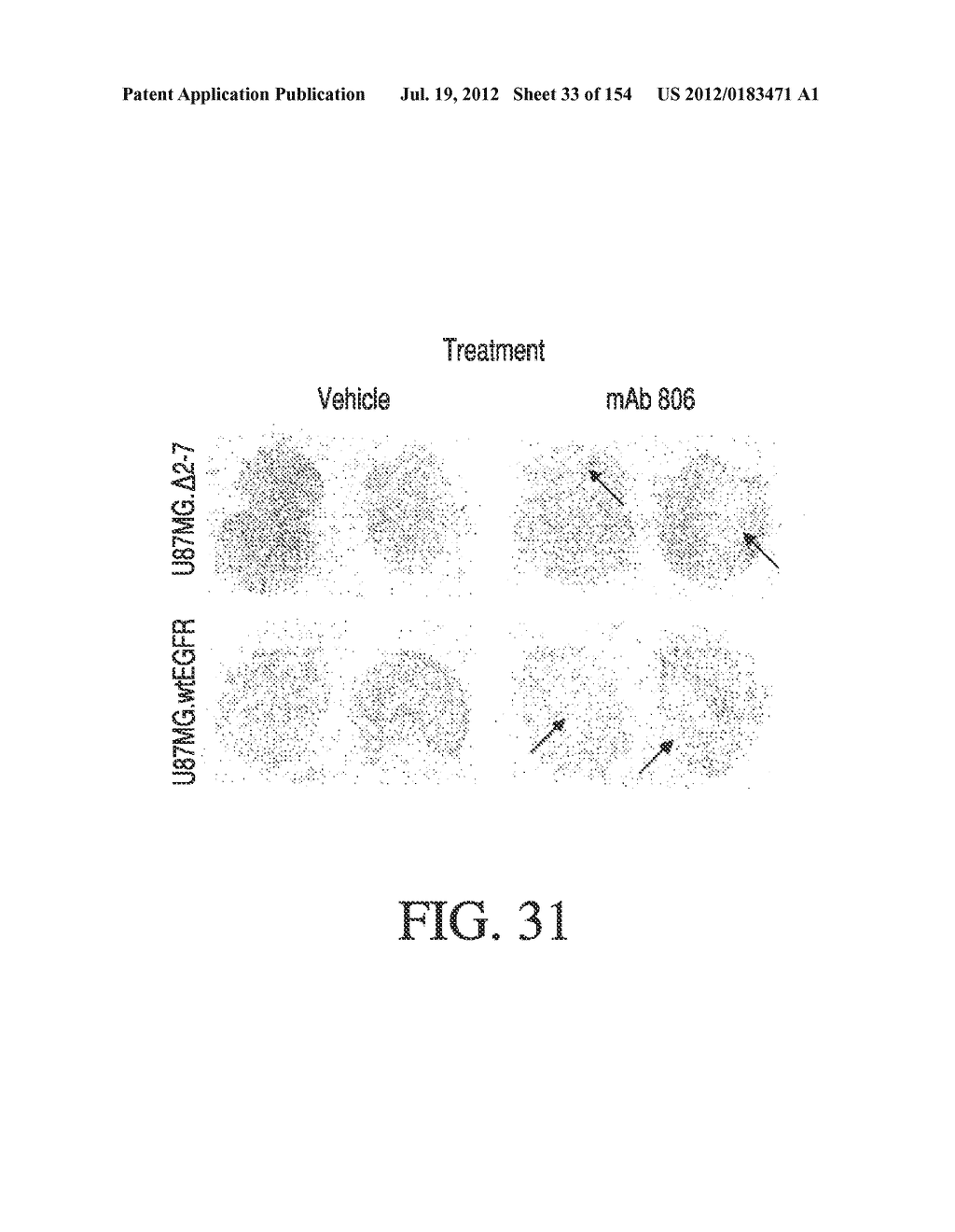 SPECIFIC BINDING PROTEINS AND USES THEREOF - diagram, schematic, and image 34