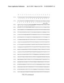 SPECIFIC BINDING PROTEINS AND USES THEREOF diagram and image