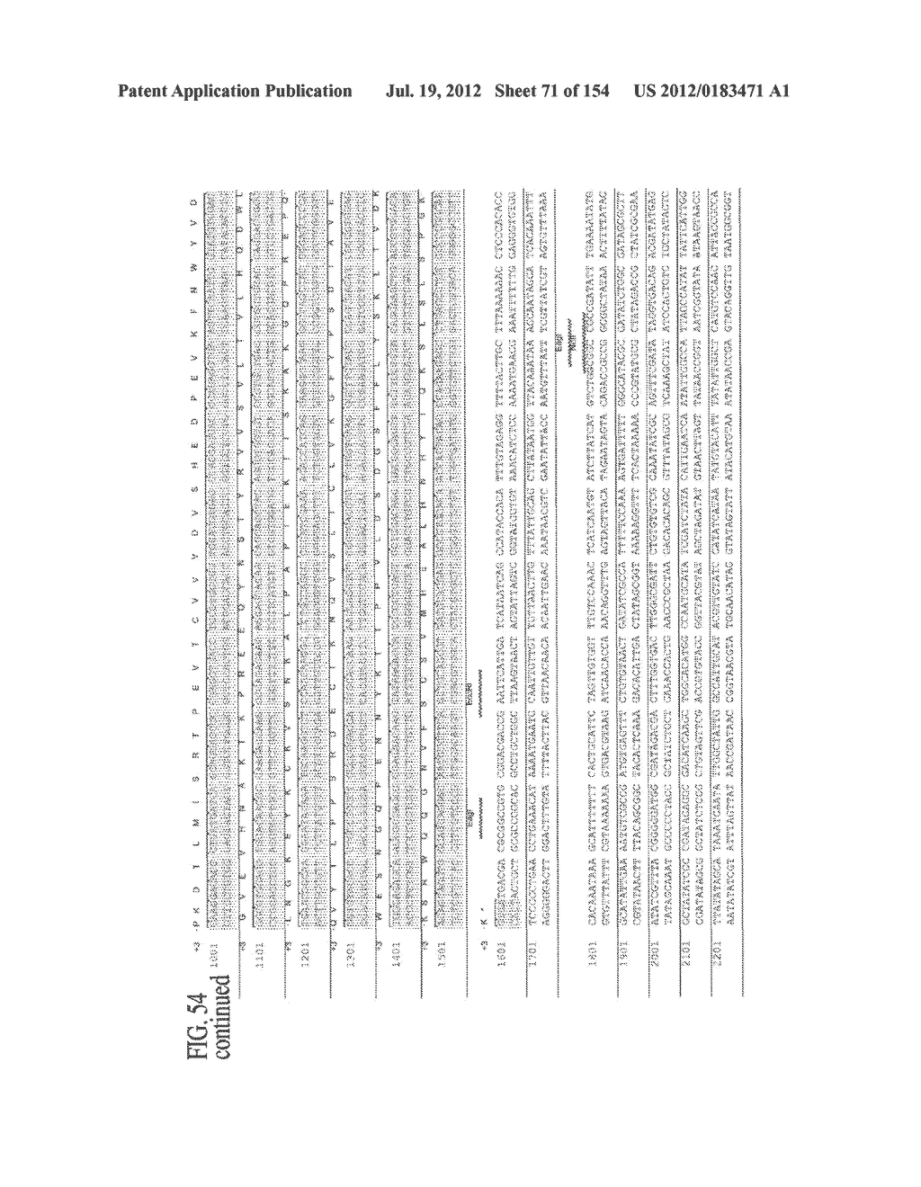 SPECIFIC BINDING PROTEINS AND USES THEREOF - diagram, schematic, and image 72