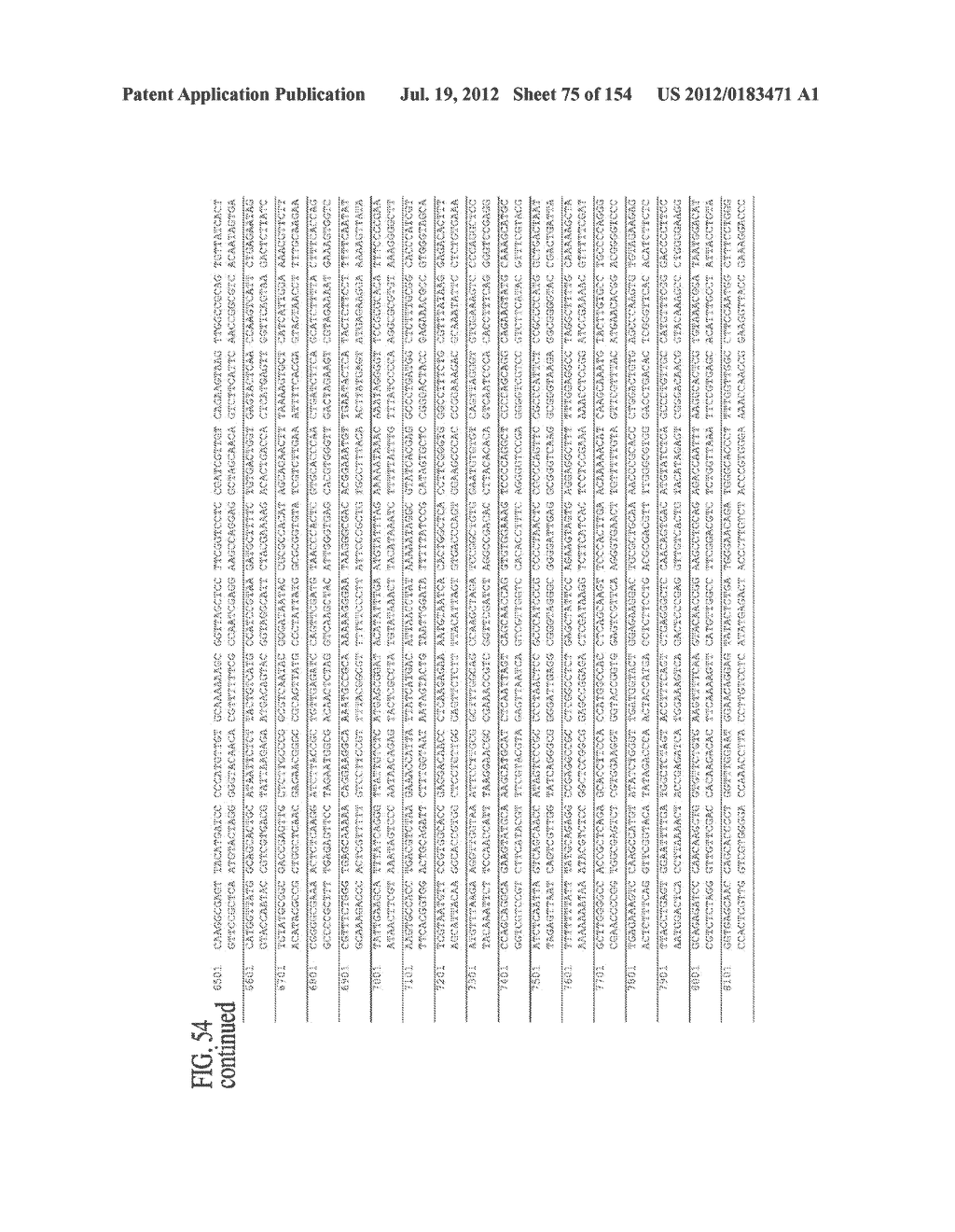 SPECIFIC BINDING PROTEINS AND USES THEREOF - diagram, schematic, and image 76