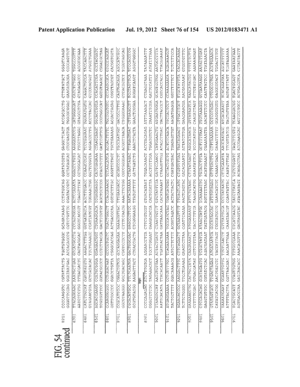 SPECIFIC BINDING PROTEINS AND USES THEREOF - diagram, schematic, and image 77