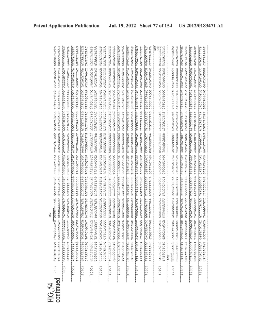 SPECIFIC BINDING PROTEINS AND USES THEREOF - diagram, schematic, and image 78