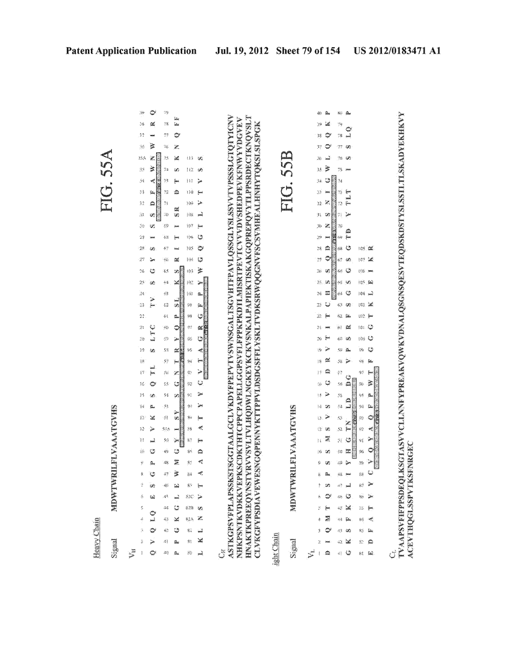 SPECIFIC BINDING PROTEINS AND USES THEREOF - diagram, schematic, and image 80