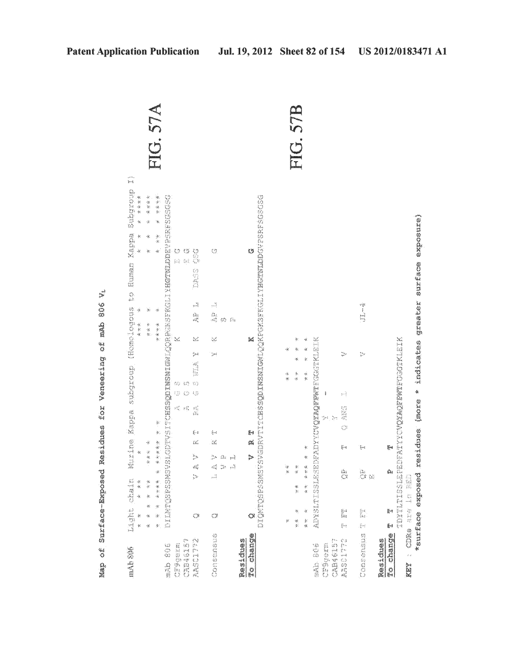 SPECIFIC BINDING PROTEINS AND USES THEREOF - diagram, schematic, and image 83