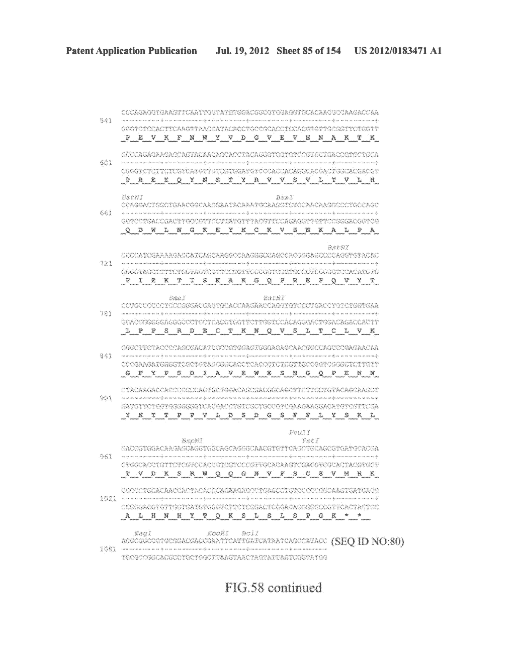 SPECIFIC BINDING PROTEINS AND USES THEREOF - diagram, schematic, and image 86