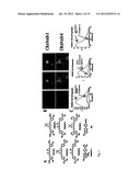 Methods and System for Detecting Soluble Amyloid-Beta diagram and image